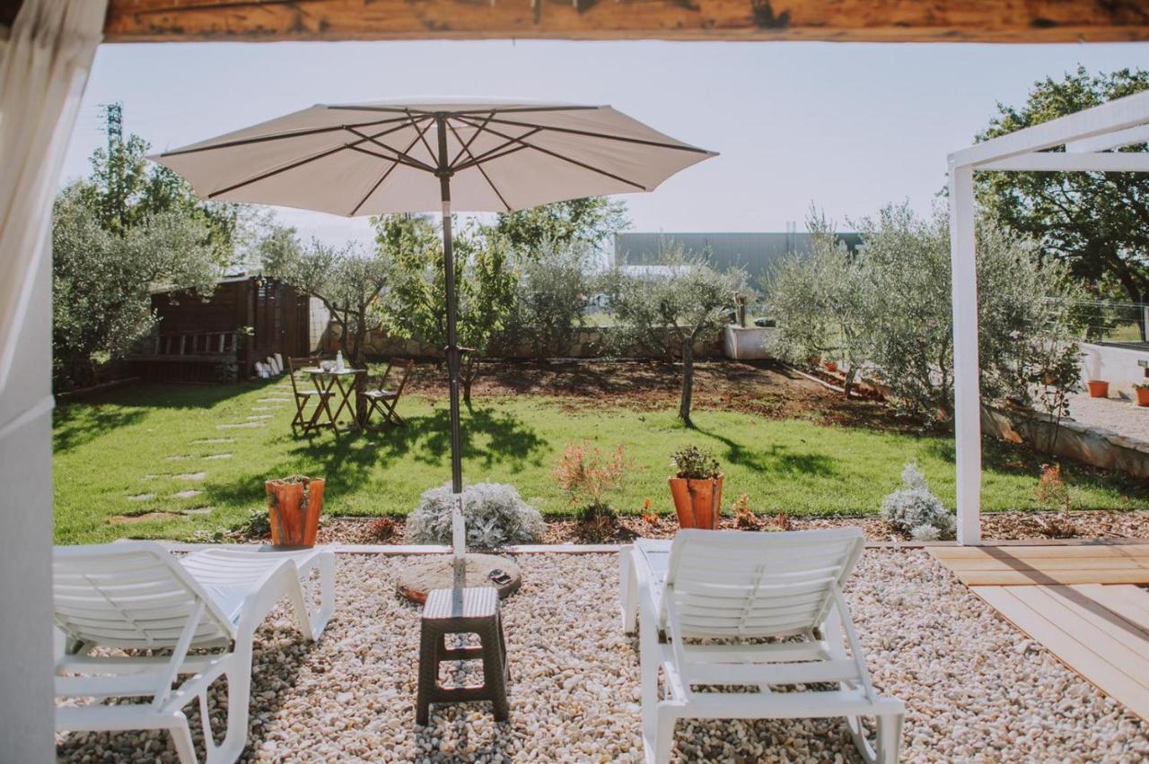 Villa Molo Novigrad Istria Exterior foto